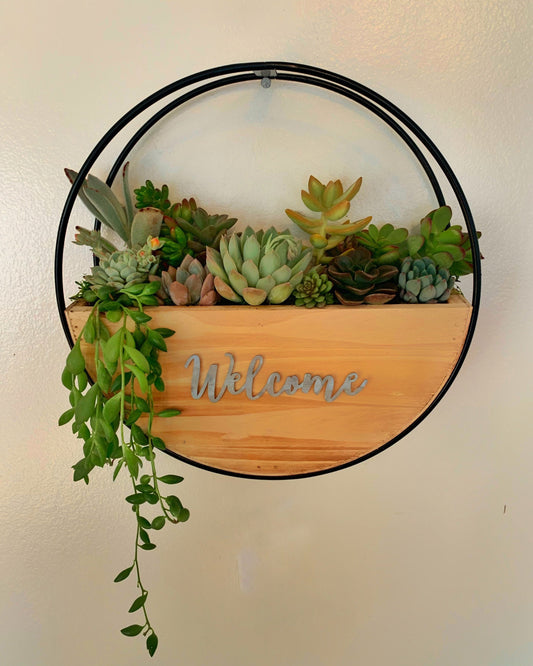 Hanging live succulent arrangement | Art deco planter| 10 inch planter | Front door welcome decor