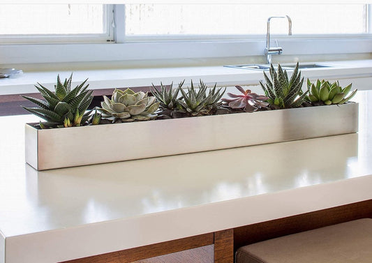 Extra large 32 inch metal succulent arrangement | Succulent centerpiece | live succulents | Event decor