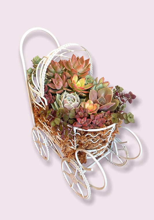 Baby carriage planter with living succulents | Baby shower decor | succulent art | custom baby gift