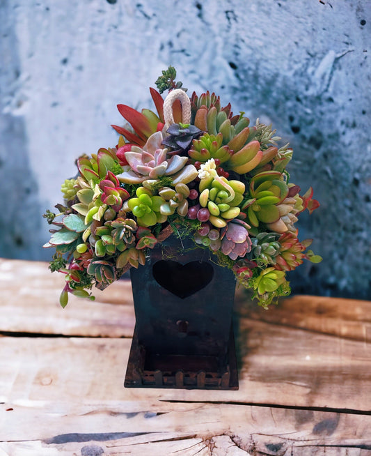 Magical birdhouse with living succulent roof