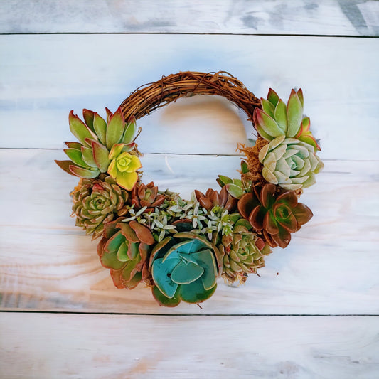Mini succulent wreath | Wall decor | Centerpiece decor | grapevine wreath | weddings