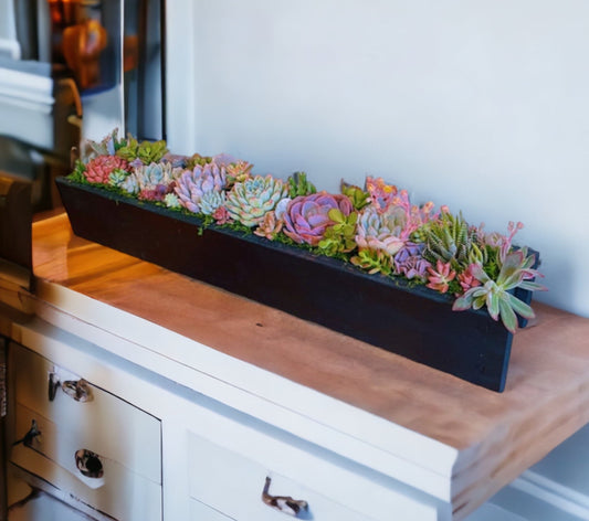 Extra large 30 inch wood planter with live succulents | Succulent centerpiece | live succulents | Event decor | redwood planter box