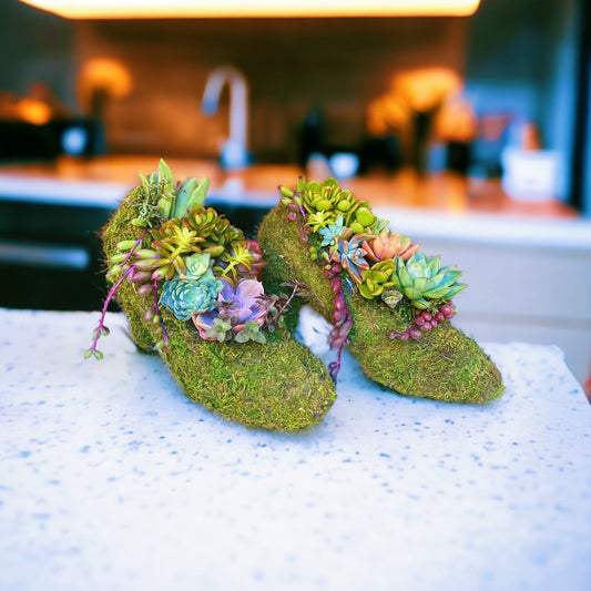 Living Succulent shoe arrangement | Succulent gift | Moss planter